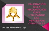 VALORACIÓN DELA MADURACIÓN ÓSEA UTILIZANDO LAS VERTEBRAS CERVICALES Dra. Elsa Mariela Ochoa Lugo.