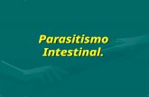 Parasitismo Intestinal.. Conceptos: Organismo animal o vegetal que vive sobre otro o dentro de él y a sus expensas.Parásito: Organismo animal o vegetal.
