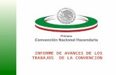 1 INFORME DE AVANCES DE LOS TRABAJOS DE LA CONVENCION.