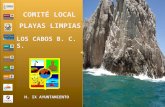 LOS CABOS B. C. S. H. IX AYUNTAMIENTO COMITÉ LOCAL PLAYAS LIMPIAS.