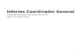 1 Informe Coordinador General Fondo de Operación de Obras Sonora SI Tercer Trimestre 2013.