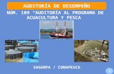 AUDITORÍA DE DESEMPEÑO NÚM. 109 AUDITORÍA AL PROGRAMA DE ACUACULTURA Y PESCA SAGARPA / CONAPESCA 1.