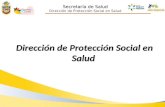Secretaría de Salud Dirección de Protección Social en Salud.