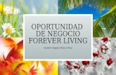 Oportunidad FOREVER LIVING