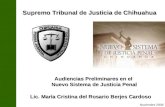Lic. María Cristina del Rosario Berjes Cardoso Audiencias Preliminares en el Nuevo Sistema de Justicia Penal Supremo Tribunal de Justicia de Chihuahua.