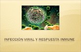 RESPUESTA EFECTORES BLANCO INMUNE DE LA RTA. Inespecífica IFN – NK CELLS REPLICAC Específica CELULAS Humoral AC PART. VIR. Celular LT - MACR.