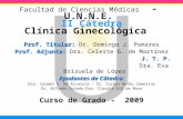 Facultad de Ciencias Médicas - U.N.N.E. II Cátedra Clínica Ginecológica Prof. Titular: Prof. Titular: Dr. Domingo J. Pomares Prof. Adjunta: Prof. Adjunta:
