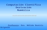 Computación Científica Derivación Numérica Profesora: Dra. Nélida Beatriz Brignole.