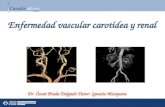 Enfermedad vascular carotídea y renal Dr. Óscar Prada Delgado Tutor: Ignacio Mosquera.