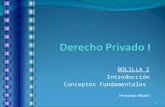 BOLILLA I - Introducción - Conceptos Fundamentales Fernando Alberti 1.