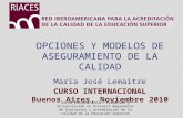 OPCIONES Y MODELOS DE ASEGURAMIENTO DE LA CALIDAD Maria José Lemaitre CURSO INTERNACIONAL Buenos Aires, Noviembre 2010 Curso Internacional: Formación y.