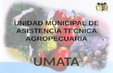 UNIDAD MUNICIPAL DE ASISTENCIA TECNICA AGROPECUARIA UMATA.