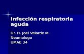 Infección respiratoria aguda Dr. H. Joel Velarde M. Neumologo UMAE 34.