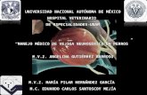 UNIVERSIDAD NACIONAL AUTÓNOMA DE MÉXICO HOSPITAL VETERINARIO DE ESPECIALIDADES-UNAM MANEJO MÉDICO DE VEJIGA NEUROGÉNICA EN PERROS M.V.Z. ANGELINA GUTIÉRREZ.
