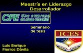Maestría en Liderazgo Desarrollador Seminario de tesis Luis Enrique Fierros Dávila.