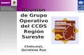 Reunión de Grupo Operativo del CCDS Región Sureste Chetumal, Quintana Roo 18 de marzo de 2010.