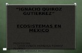 IGNACIO QUIROZ GUTIERREZ ECOSISTEMAS EN MEXICO PROFESORA: LIDYA EUNICE ESPINOSA TORREZ ALUMNO: AXEL MÉNDEZ MONROY.