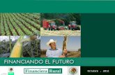 INICIO PROG PROD ESTRAT Octubre, 2012. INICIO PROG PROD ESTRAT 2 Financiera Rural forma parte de la banca de desarrollo del sector rural de México. Fue.