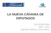 LA NUEVA CÁMARA DE DIPUTADOS LXI LEGISLATURA 2009 – 2012 Agendas Políticas y otros temas.