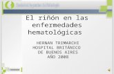 El riñón en las enfermedades hematológicas HERNAN TRIMARCHI HOSPITAL BRITÁNICO DE BUENOS AIRES AÑO 2008.