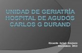 Ricardo Ariel Ovejero Diciembre 2012. Hospital de Agudos Carlos G.Durand Unidad de Geriatría Integrantes Asistente Social (servicio de A.Social) Jefe.
