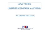 LUPUS Y RIÑÓN: CRITERIOS DE SEVERIDAD Y ACTIVIDAD DR. HERNÁN TRIMARCHI.