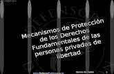 Www.DefensaPublica.org.Ar Banco de Datos1 Mecanismos de Protección de los Derechos Fundamentales de las personas privadas de libertad.