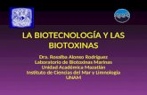 LA BIOTECNOLOGÍA Y LAS BIOTOXINAS Dra. Rosalba Alonso Rodríguez Laboratorio de Biotoxinas Marinas Unidad Académica Mazatlán Instituto de Ciencias del Mar.