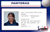 Ana Fernanda Martínez Gómez Carrera: Pedagogía 1er Semestre Fecha de Nacimiento: 01 de Noviembre de 1989 Numero: 1.