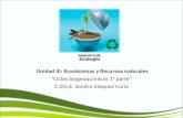 Unidad III: Ecosistemas y Recursos naturales Ciclos biogeoquímicos 1° parte C.D.E.E. Sandra Vázquez Coria.
