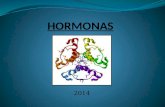 2014. Mensajeros químicos Sistema de comunicación intercelular: Hormonas Neurotransmisores Feromonas.