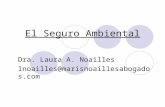 El Seguro Ambiental Dra. Laura A. Noailles lnoailles@marisnoaillesabogados.com.