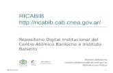 06/05/20101 RICABIB  Repositorio Digital Institucional del Centro Atómico Bariloche e Instituto Balseiro Mariano Belladonna.