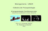 Bioingeniería - UNER Cátedra de Fisiopatología Fisiopatología Cardiovascular (diapositivas proyectadas en clases, 3da parte) Prof. Dr. Armando Pacher Dr.