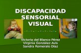 DISCAPACIDAD SENSORIAL VISUAL Victoria del Blanco Pérez Virginia González Avís Sandra Romeralo Díaz.