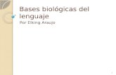 Bases biológicas del lenguaje Por Elking Araujo 1.