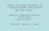 Centro de Altos Estudios en Especialidades Policiales Mar del Plata. Materia: Seguridad Publica Comunitaria. Mayo de 2012. Profesor: Carlos A. Bozzi.