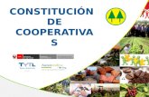 CONSTITUCIÓN DE COOPERATIVAS. ASPECTOS ADICIONALES APLICABLES A CONSEJOS Y COMITÉS.