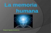 La memoria humana