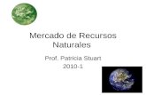 2010 mercado de recursos naturales