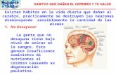 Habitos Que Lesionan El Cerebro Y La Salud