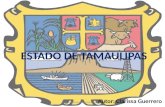 Examen Estado De Tamaulipas