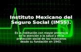 Instituto Mexicano del Seguro Social (IMSS).