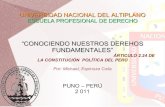 Derechos Fundamentales de la Persona - Constitución Política del Perú (1993)
