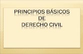 Principios básicos de derecho civil - Unidad Nº 1