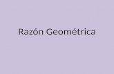 Razón y proporción geométrica