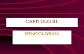 CAPITULO III: HEMOGLOBINA. TRANSPORTADORES DE OXIGENO En vertebrados son las proteínas hemoglobina y mioglobina.En vertebrados son las proteínas hemoglobina.