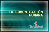 ¿Qué es la comunicación humana?