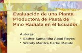 Evaluación de una Planta Productora de Pasta de Pino Radiata en el Ecuador Autoras: Esther Samantha Abad Reyes Wendy Maritza Carbo Matute.