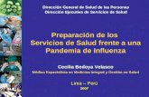 Preparación de los Servicios de Salud frente a una Pandemia de Influenza Lima – Perú 2007 Dirección General de Salud de las Personas Dirección Ejecutiva.